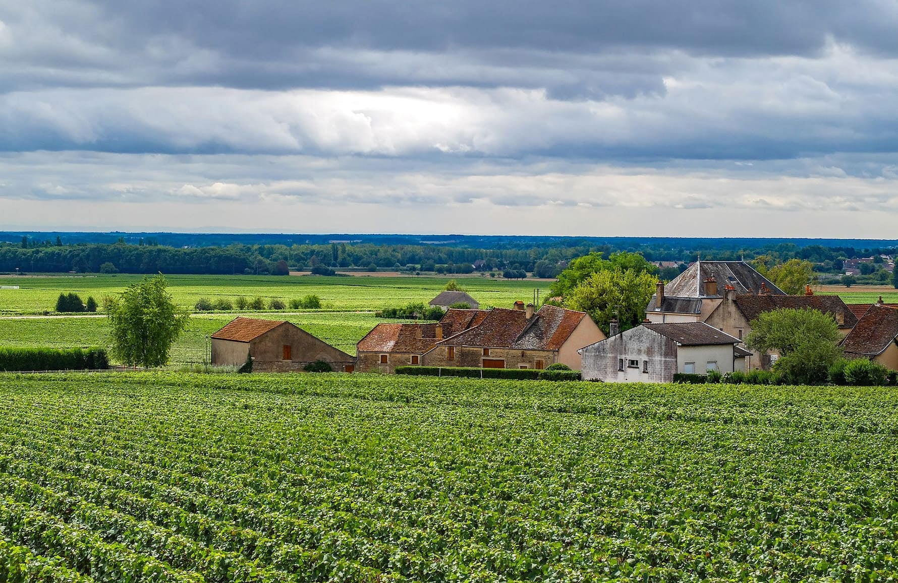 Domaine Chavy-Chouet