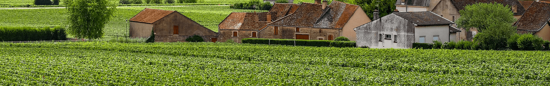 Domaine Marquis d'Angerville