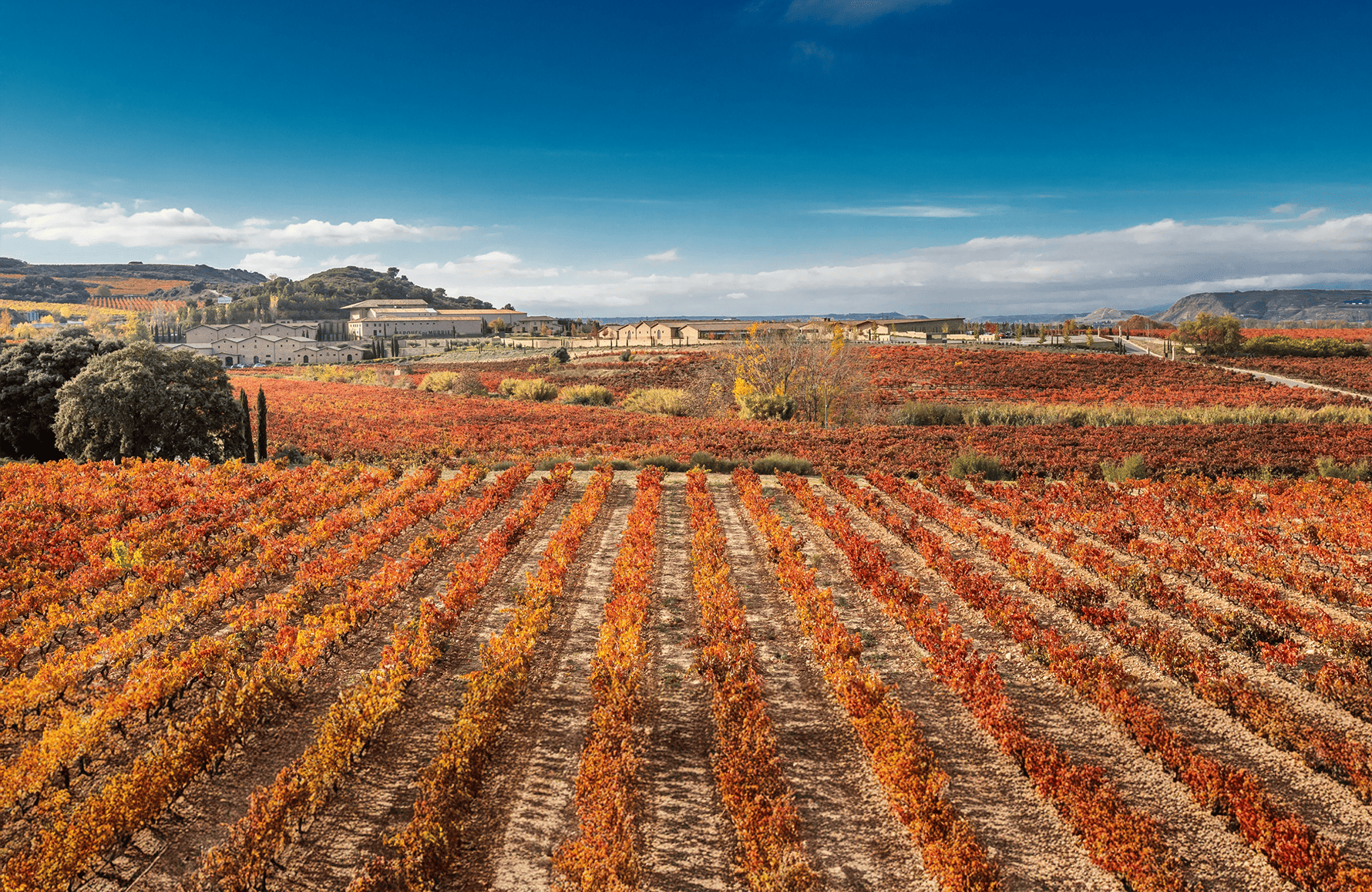 Marques de Murrieta - Espagne