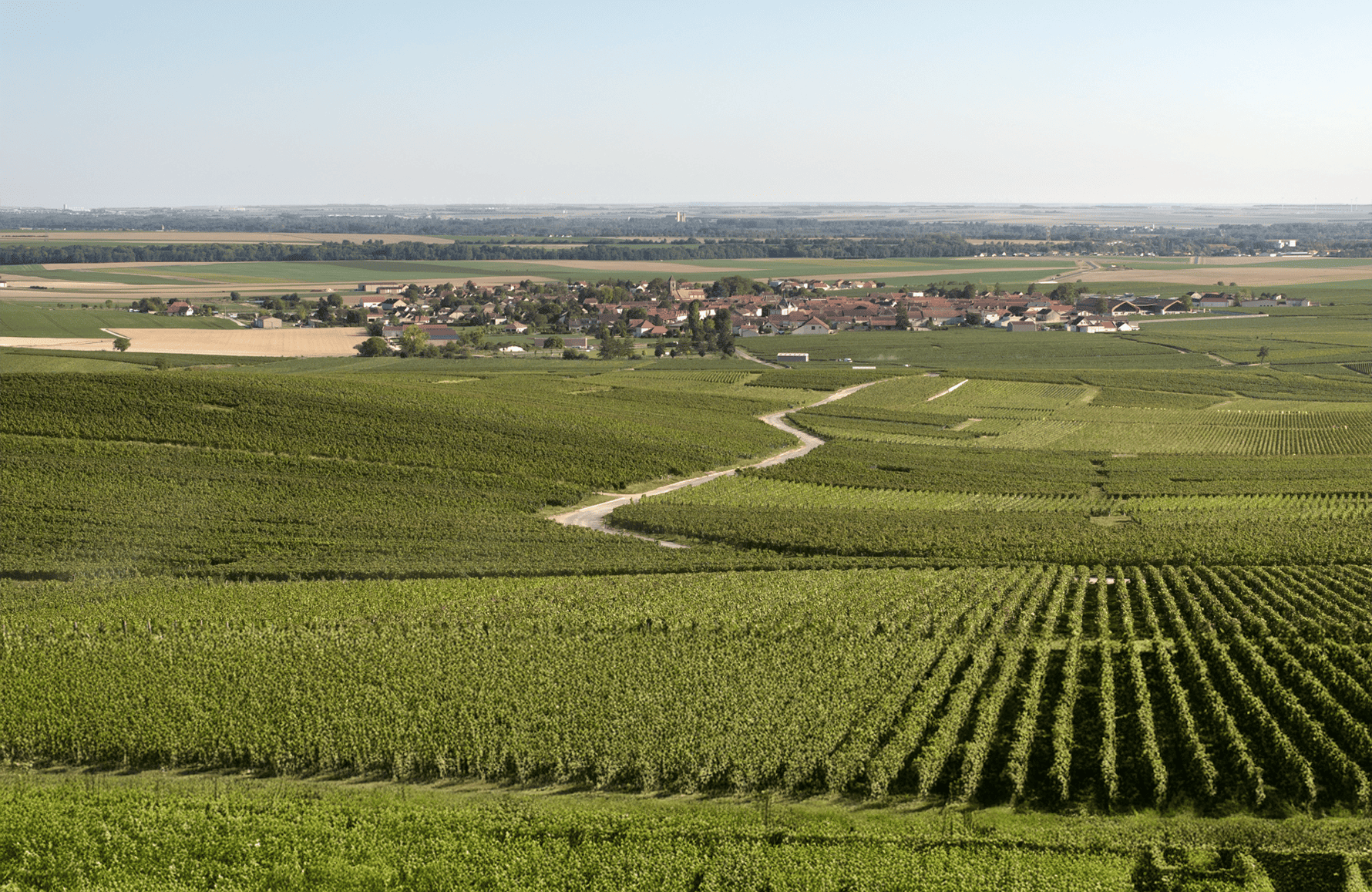 la storia di Champagne Charles Heidsieck
