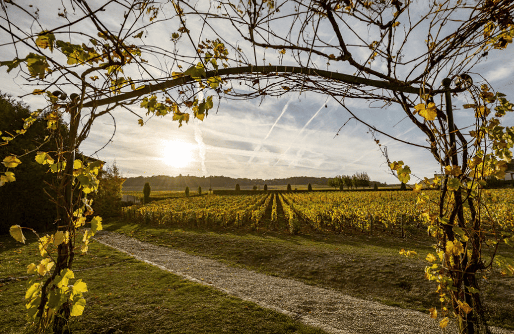 la storia di Champagne Soggiorno