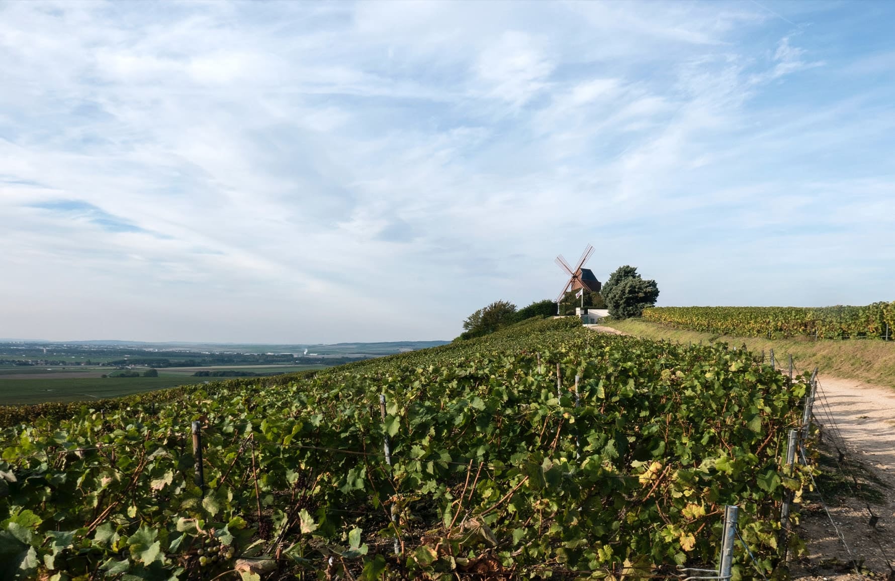 Vini Champagne Deutz