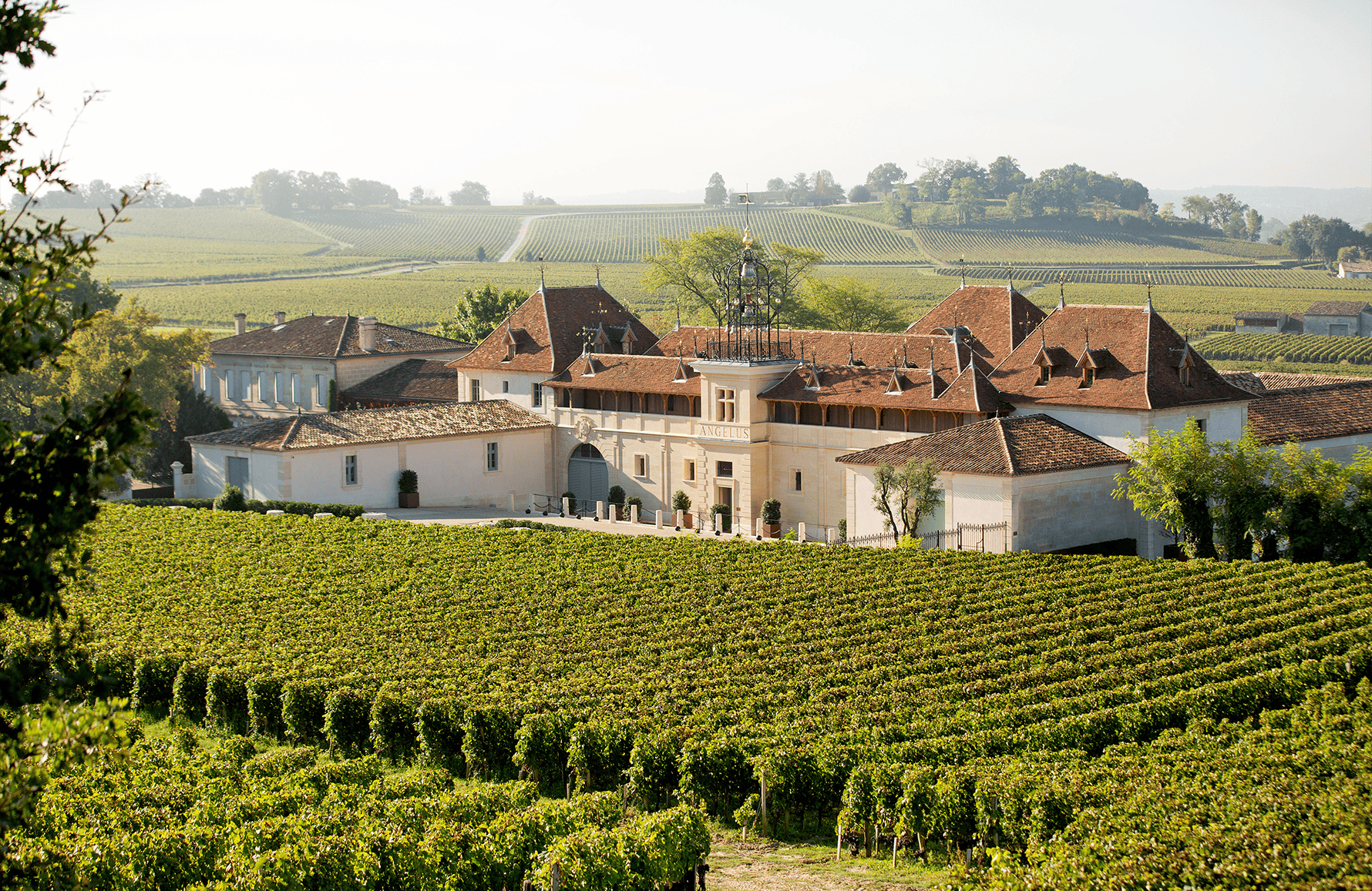 Vini Château Angelo