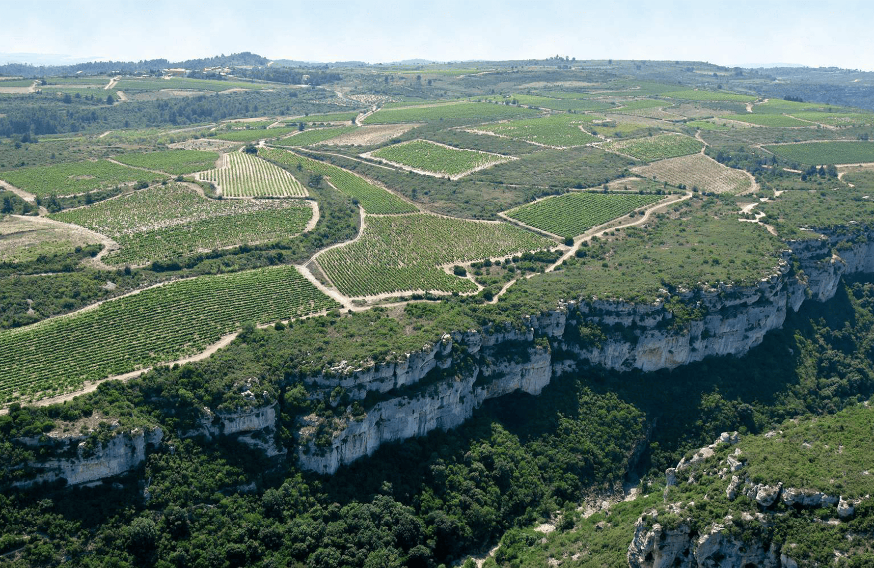 l’histoire du Château Coupe-Roses