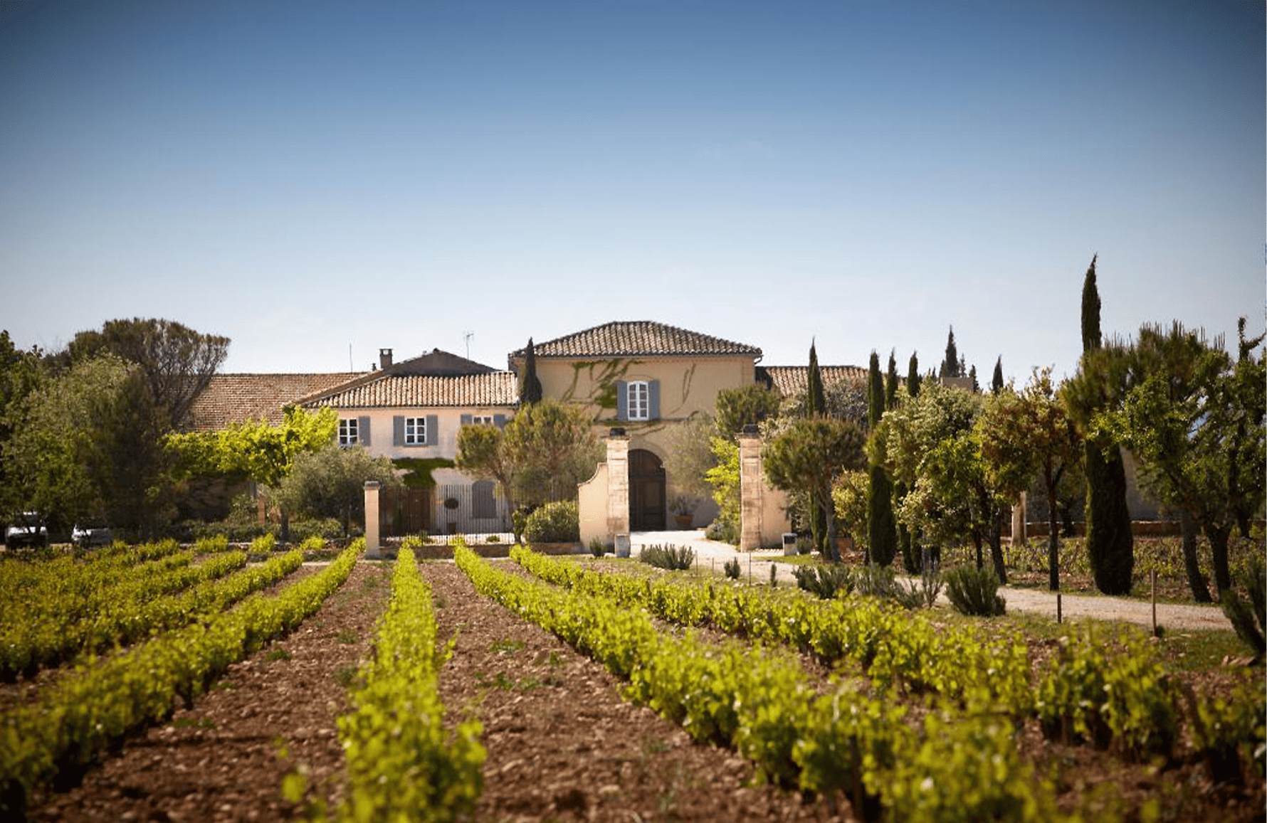 Vini Château de Beaucastel