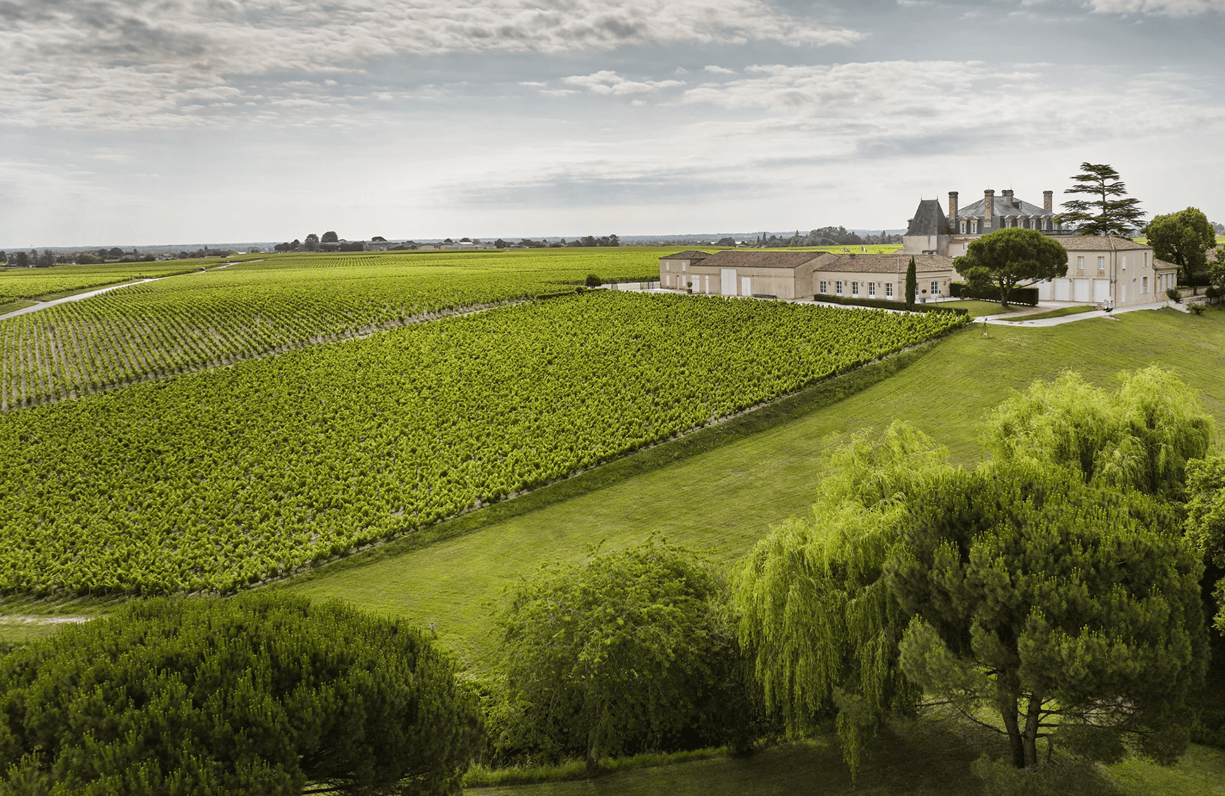 Wines Grand-Puy-Lacoste Castle