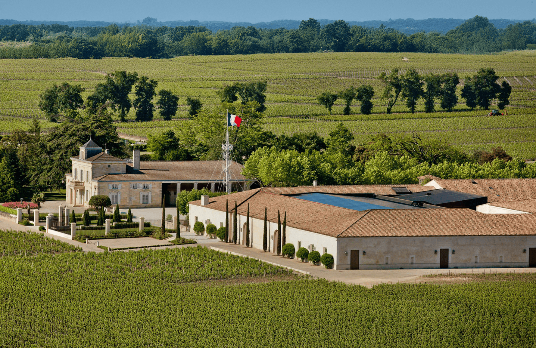 Vini Château Montrose