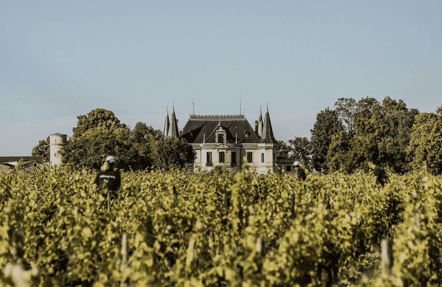 Vini Château Palmer