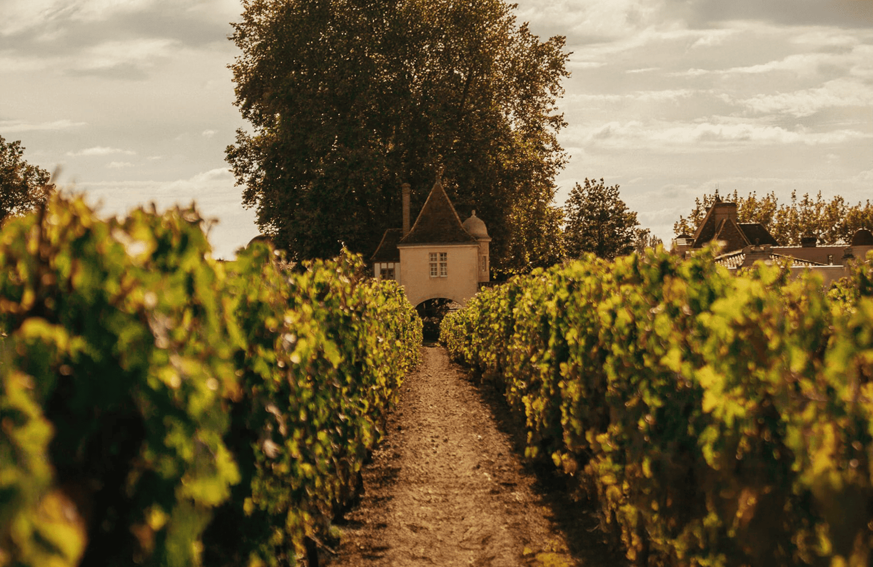 Vini Château Rauzan-Ségla