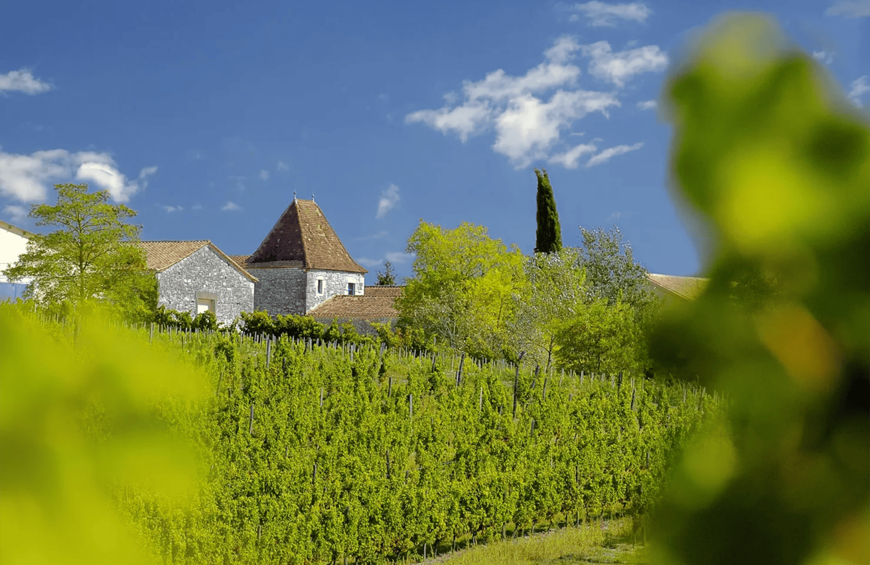 the story of Château Tour des Gendres