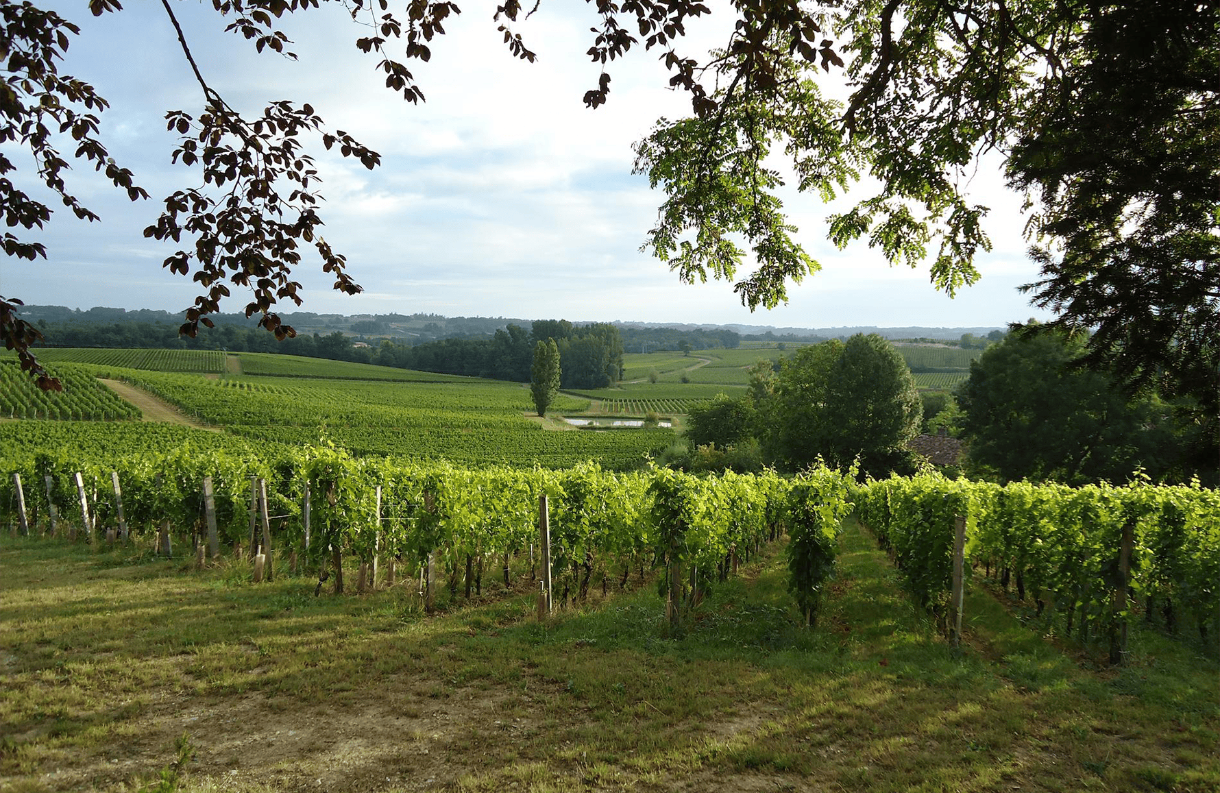 Wines Valandraud Castle