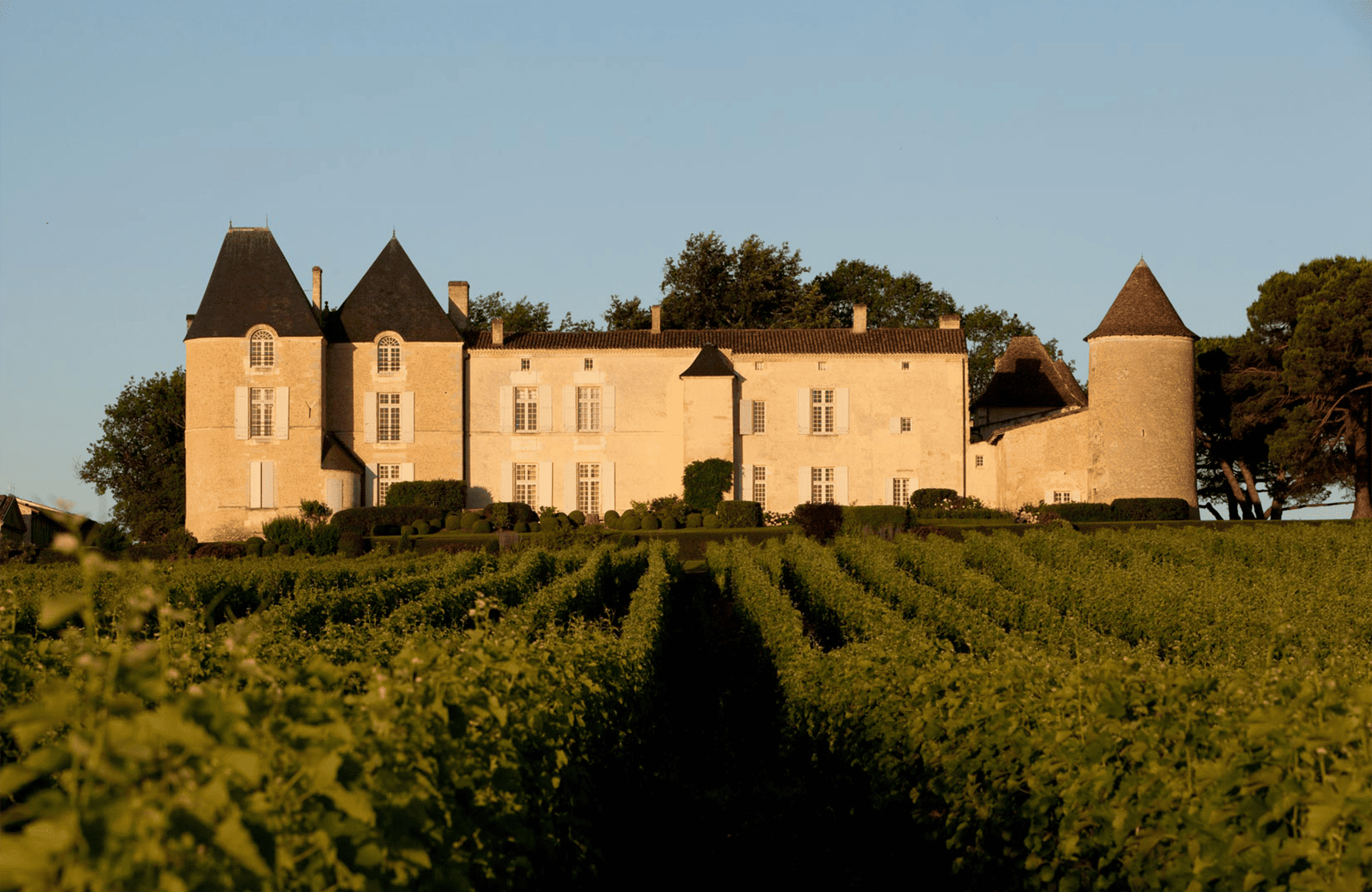 Wines Château d'Yquem