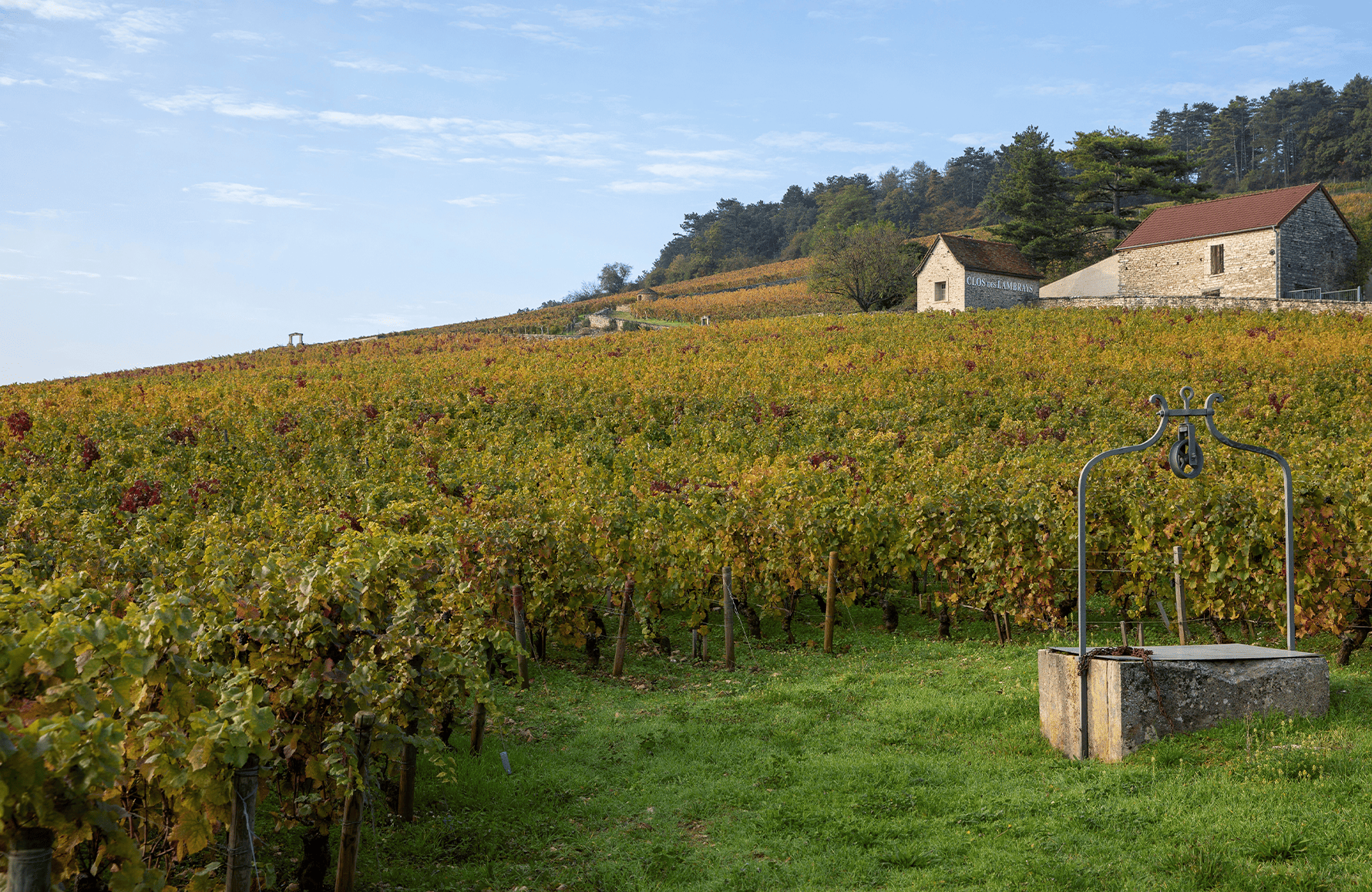 l’histoire du Domaine des Lambrays