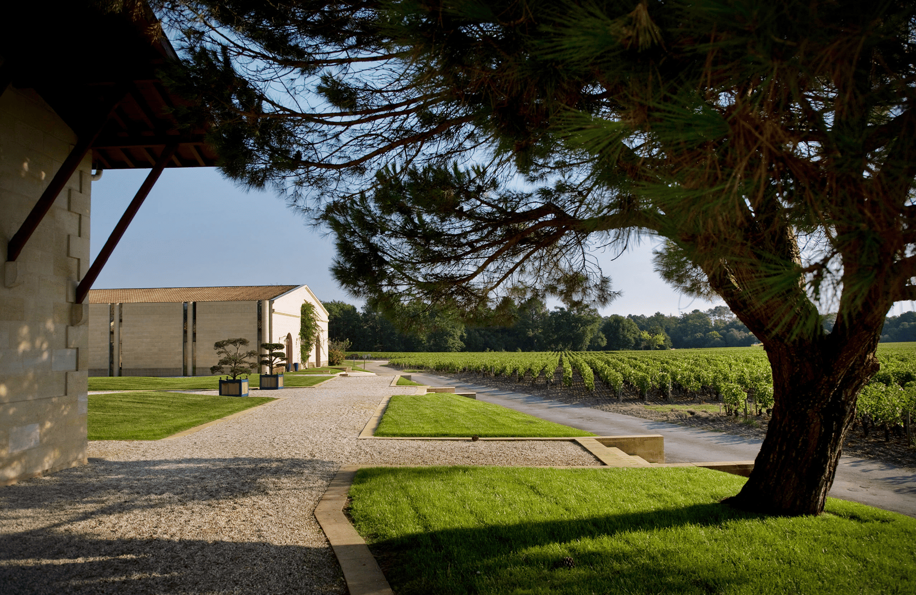 l’histoire du Domaine de Chevalier