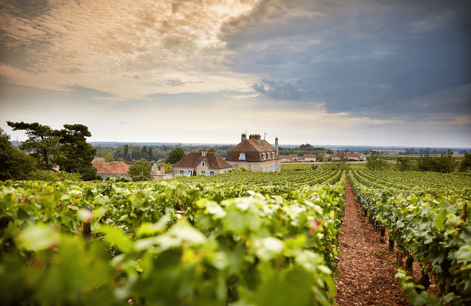 la storia di Domaine de l'Arlot