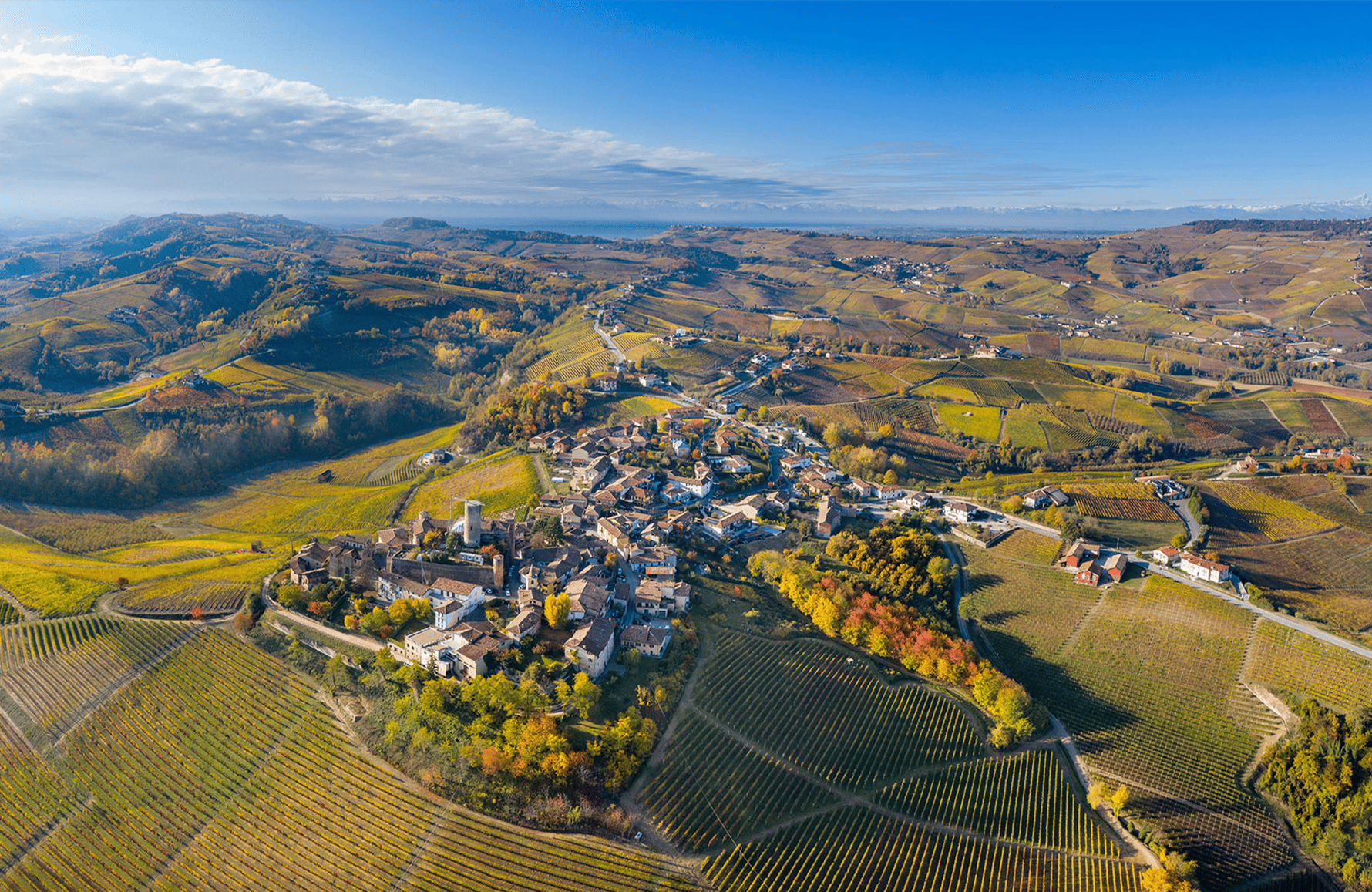 la storia di Vietti - Italia