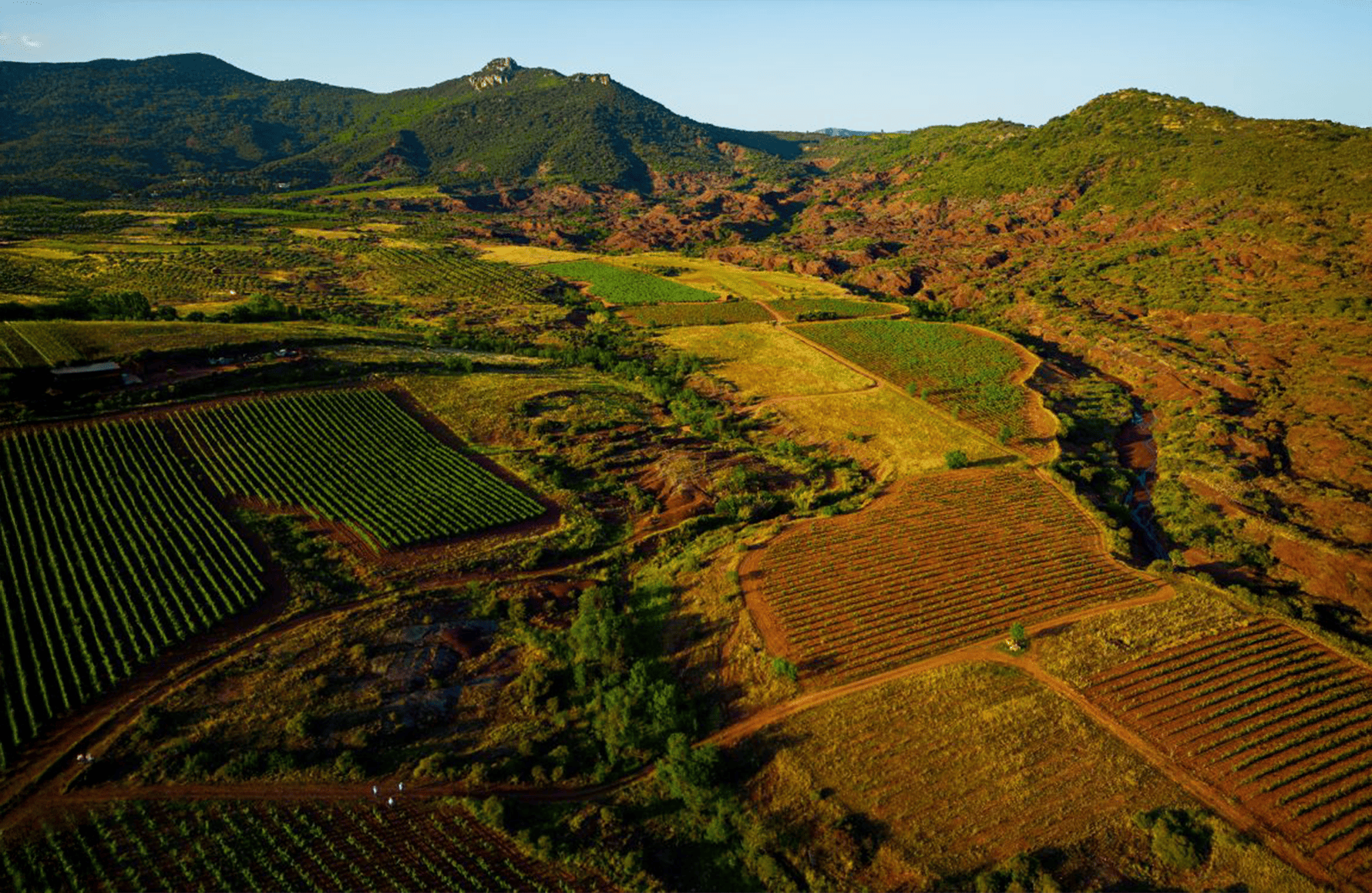 Domaine Le Clos du Serres