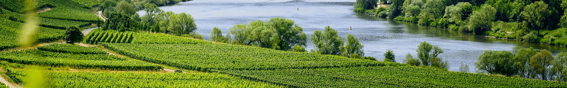 Domaine des Ardoisières