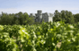 Château La Gurgue