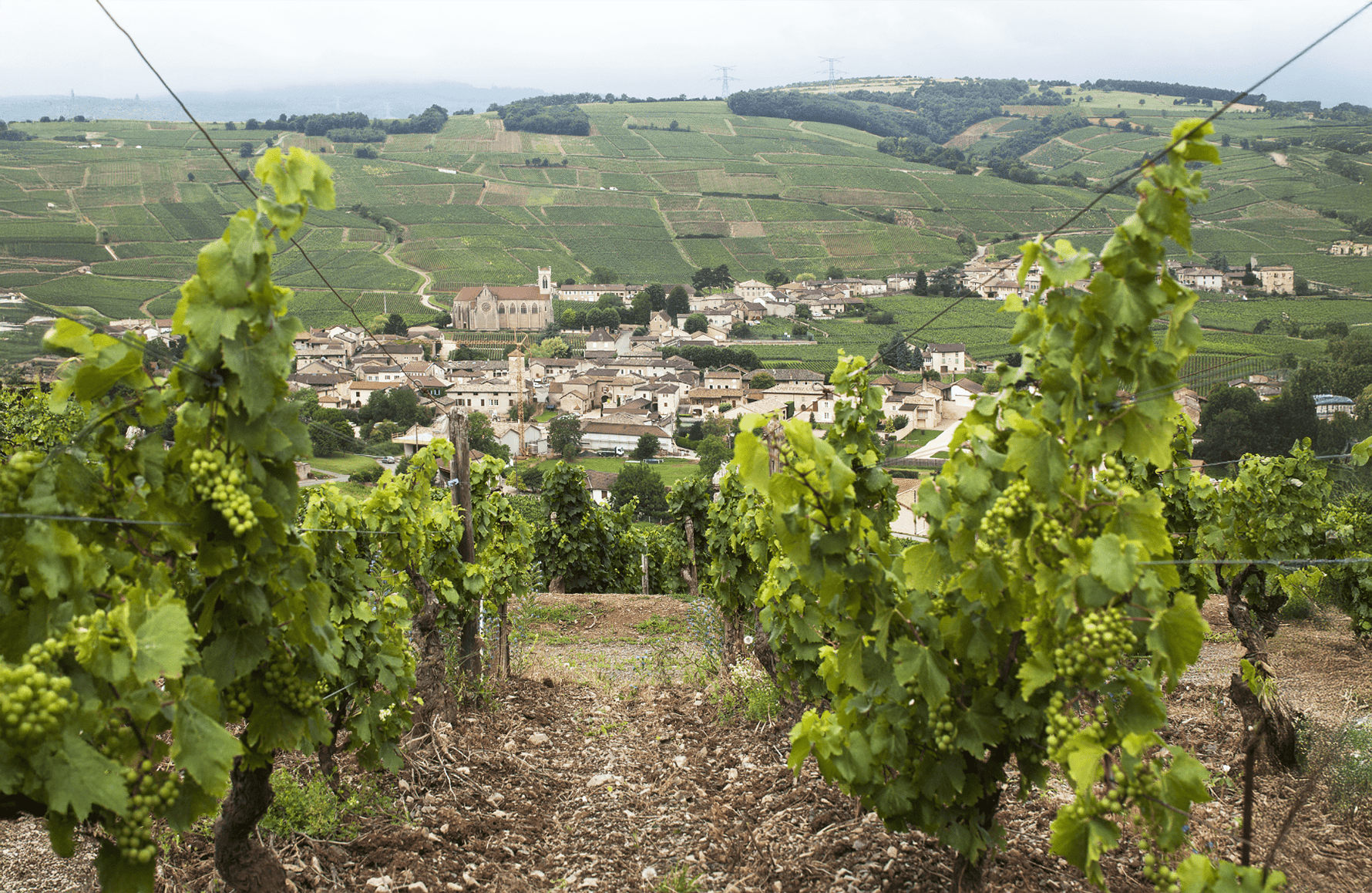Domaine Robert Denogent