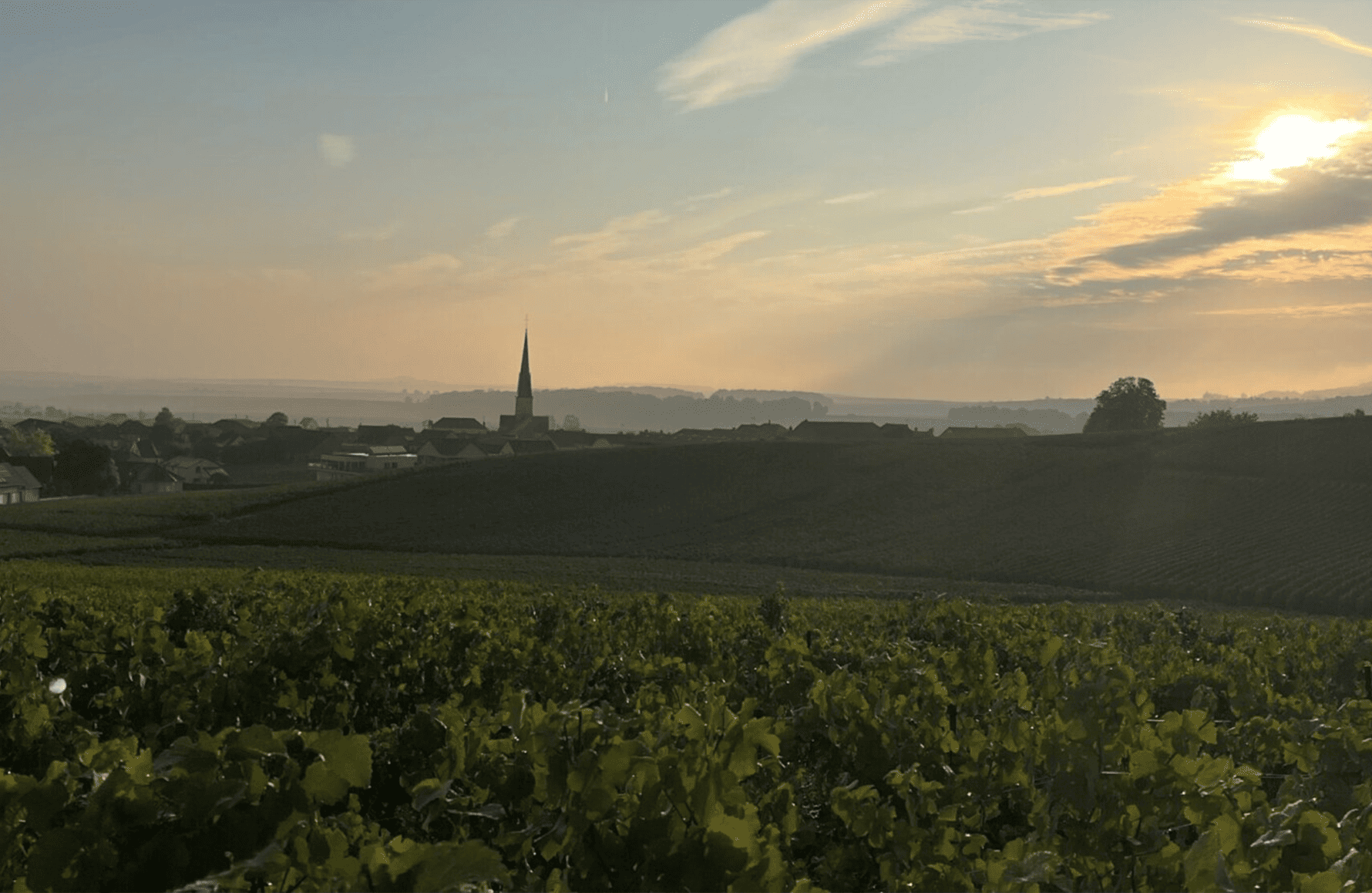 Champagne Bonnet-Ponson