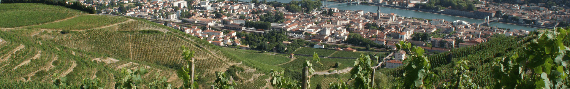 Domaine les Bruyères David Reynaud