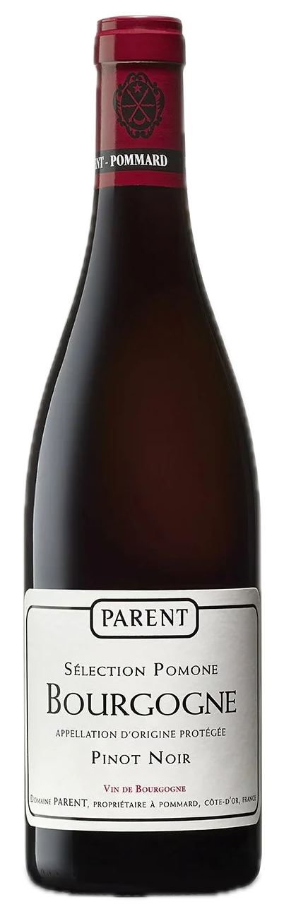 Domaine Parent - Bourgogne Sélection Pomone 2021