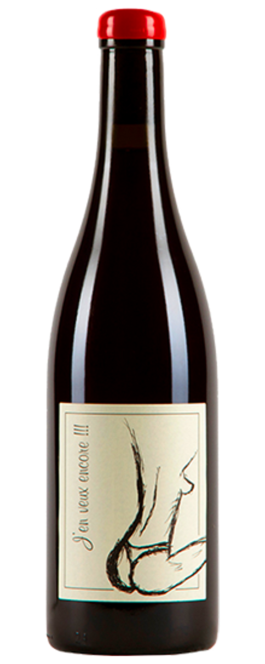 Domaine Anne et Jean-François Ganevat - Vin de France J'en veux encore 2023