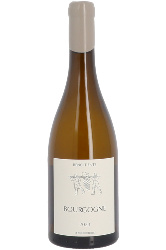 Domaine Benoit Ente - Bourgogne Blanc 2023