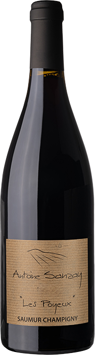 Domaine Antoine Sanzay - Les Poyeux 2021 - Saumur Champigny