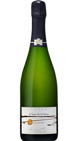 Champagne Françoise Bedel - L'anima della terra 2010 - Champagne Millésimé