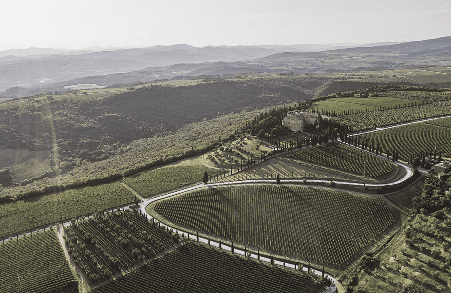 Wines Argiano - Italy