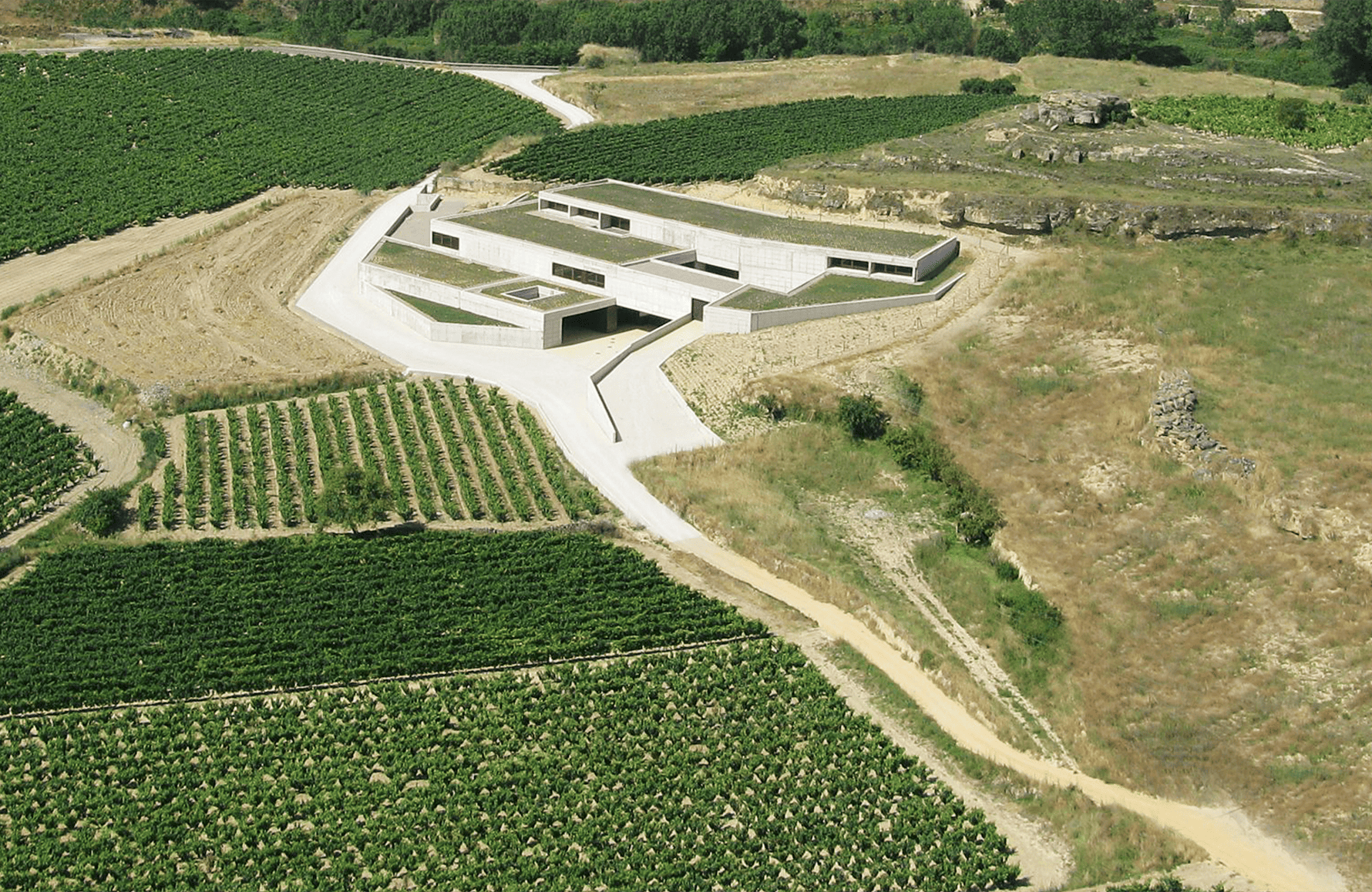 Vini Bodega Contador - Spagna