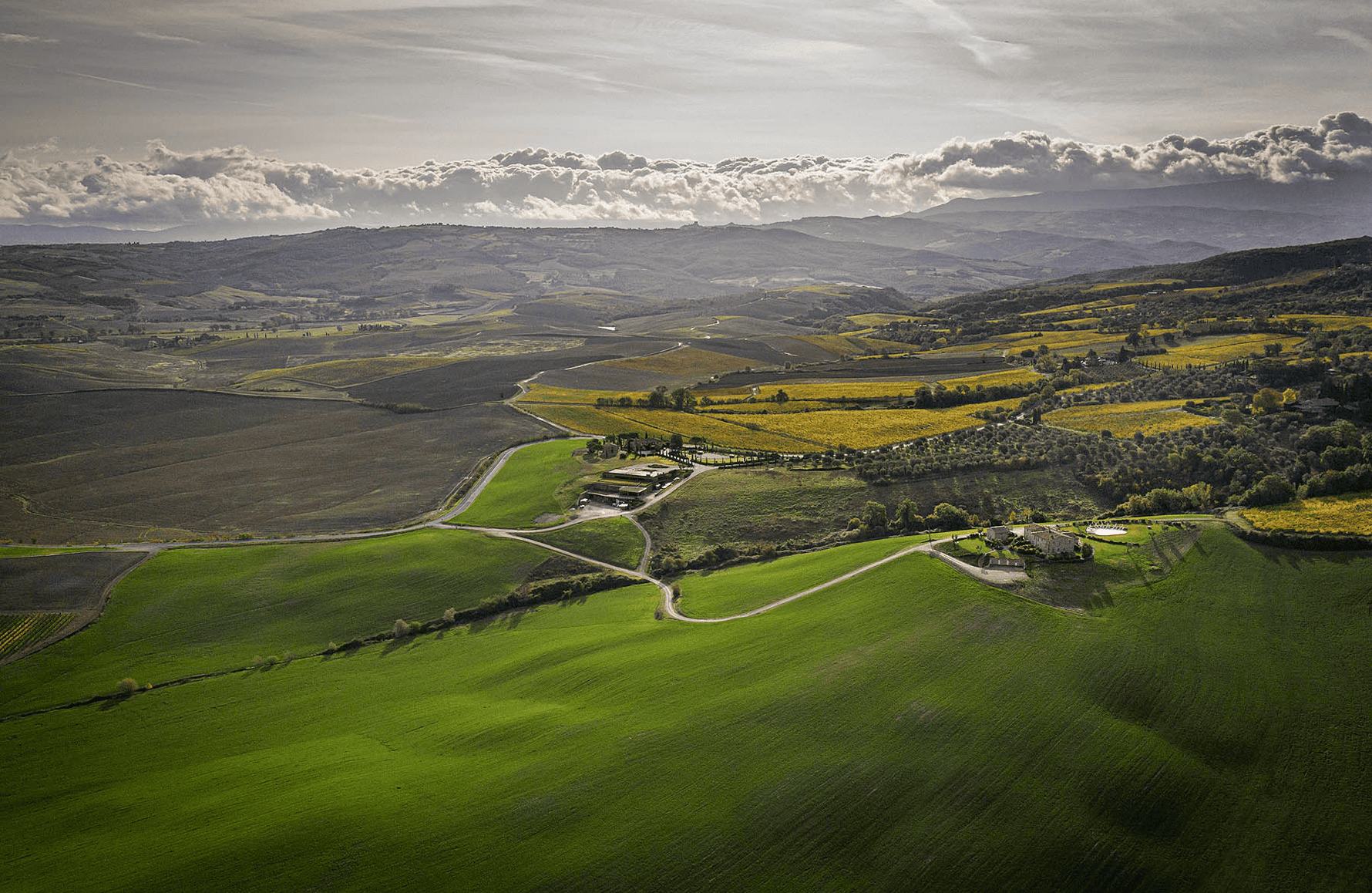 Vins Casanova di Neri - Italie