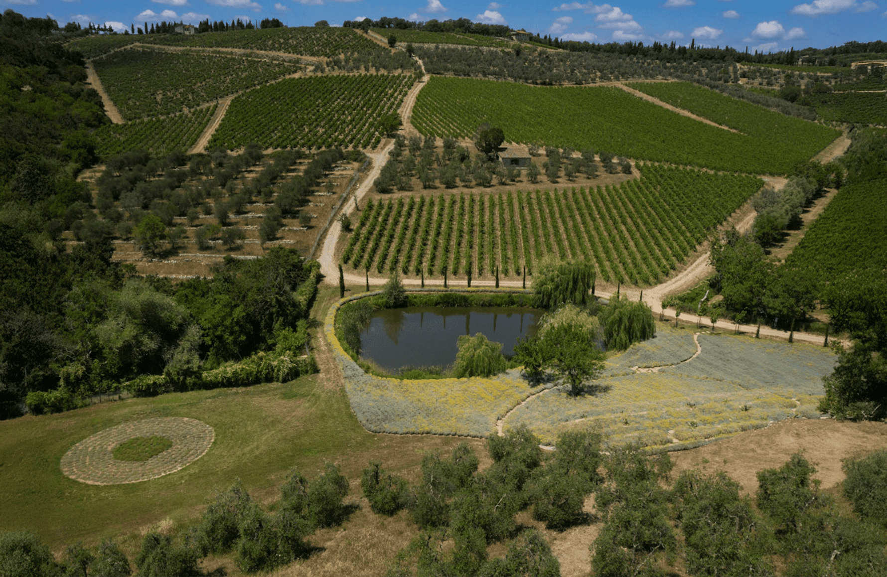 la storia di Castello Di Ama - Italia