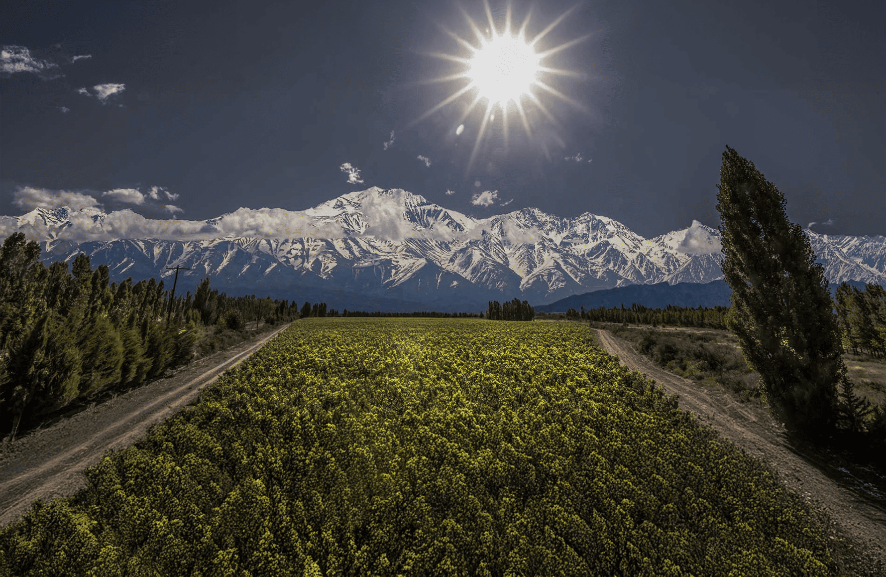 Vini Catena Zapata - Argentina