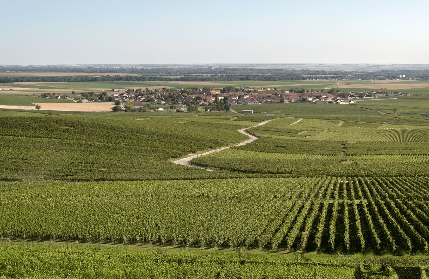 l’histoire du Champagne Charles Heidsieck