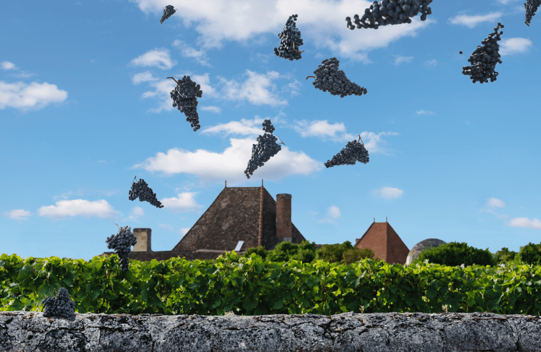 la storia di Château Bélair-Monange