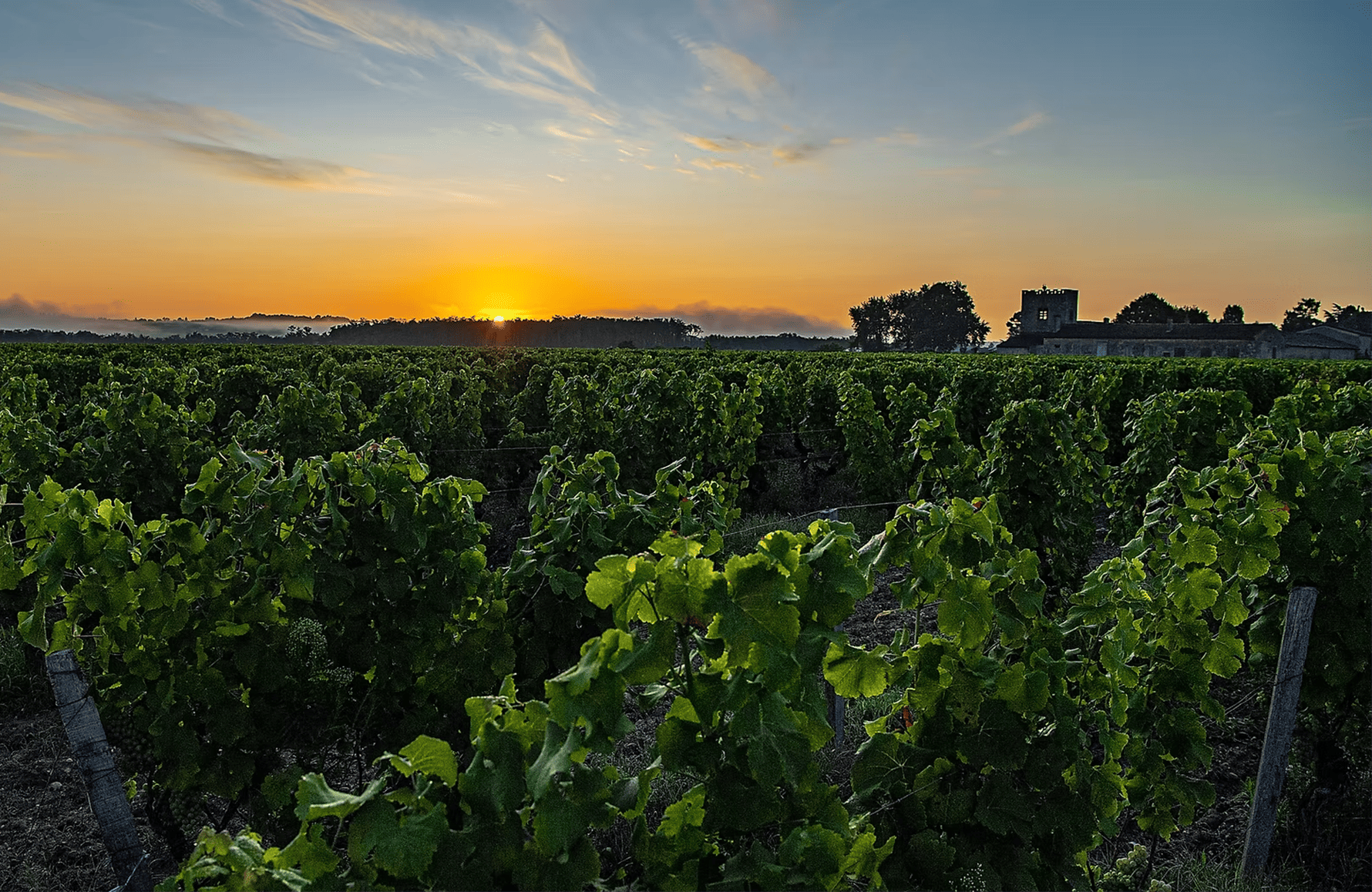 Vins Château de Chantegrive