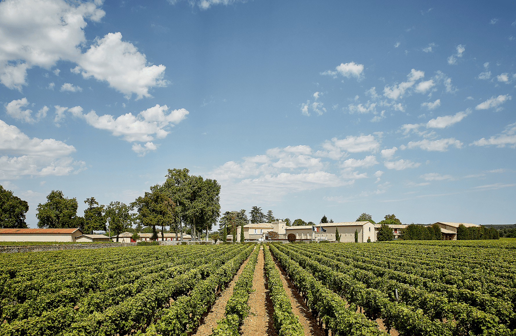 l’histoire du Château Coutet