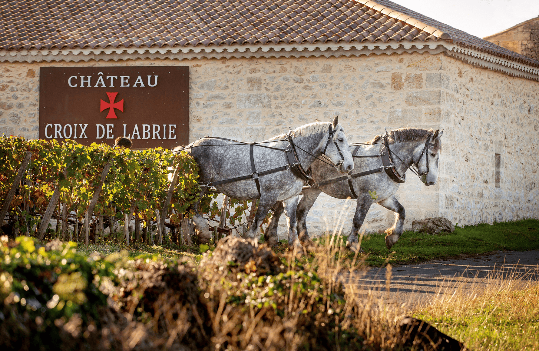 Wines Château Croix de Labrie