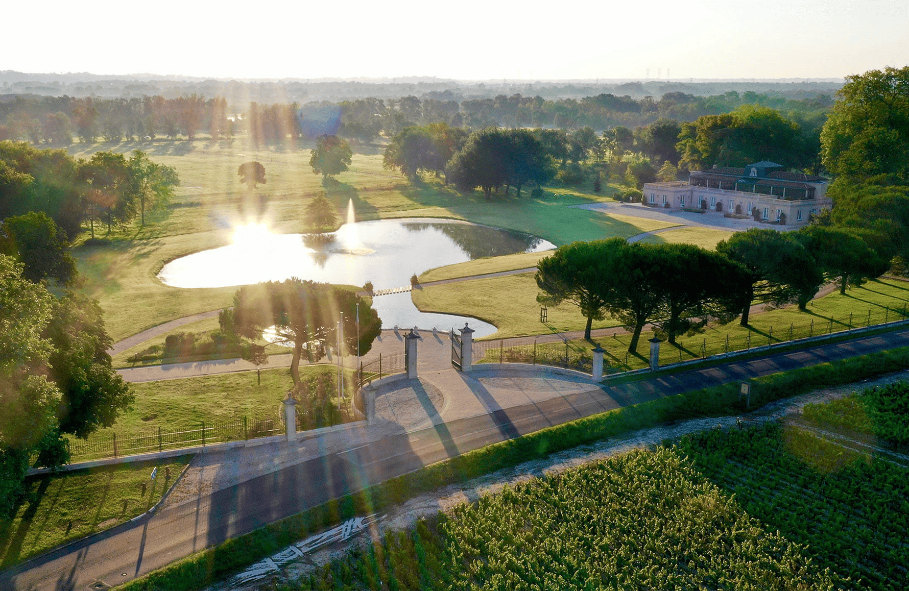 Wines Château Dauzac