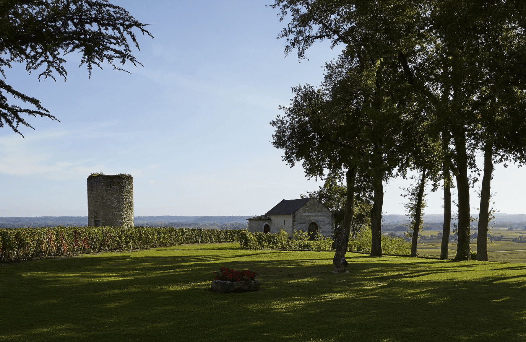 Wines Château De Pressac