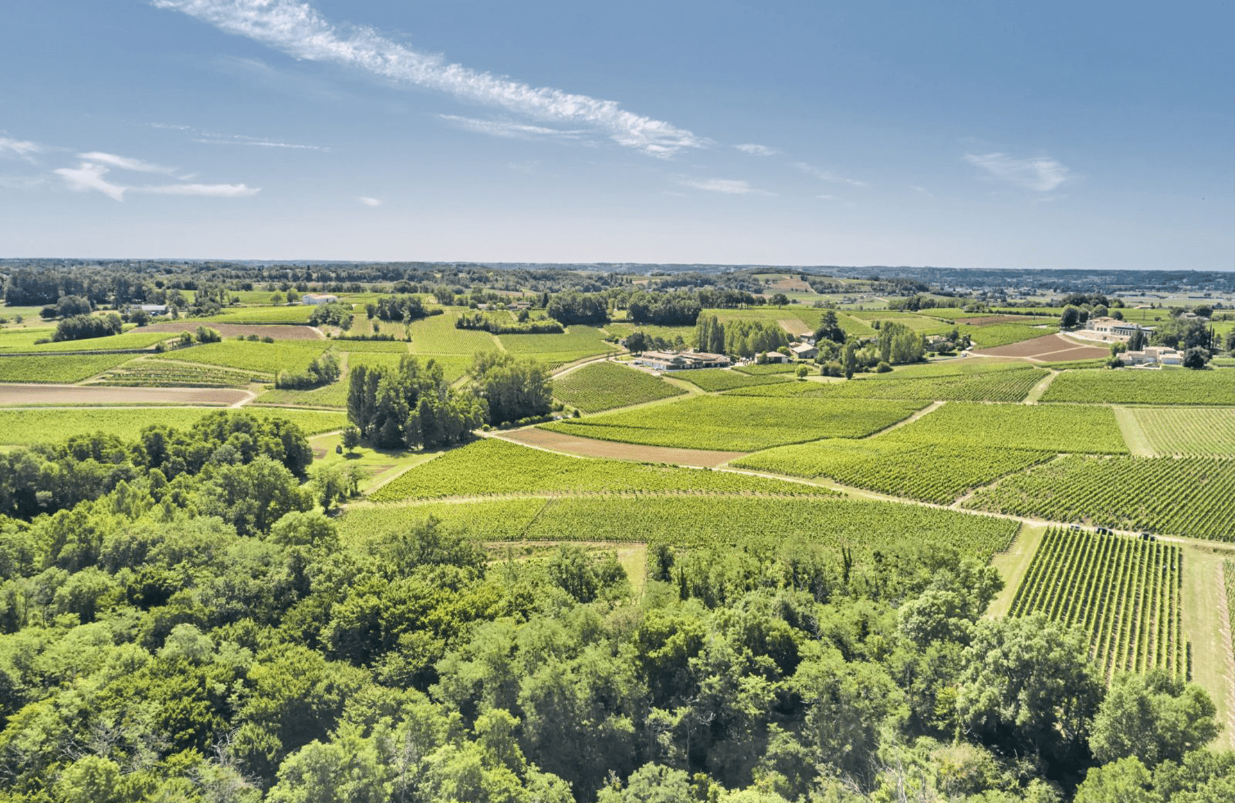 Wines Château Fleur Cardinale