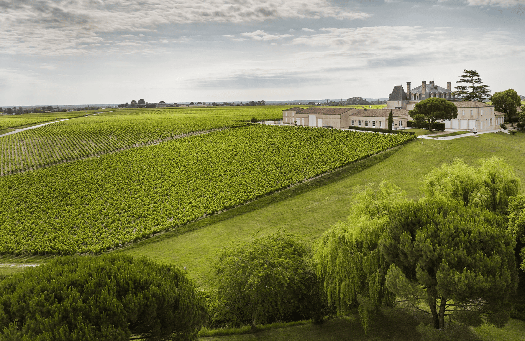 Wines Grand-Puy-Lacoste Castle