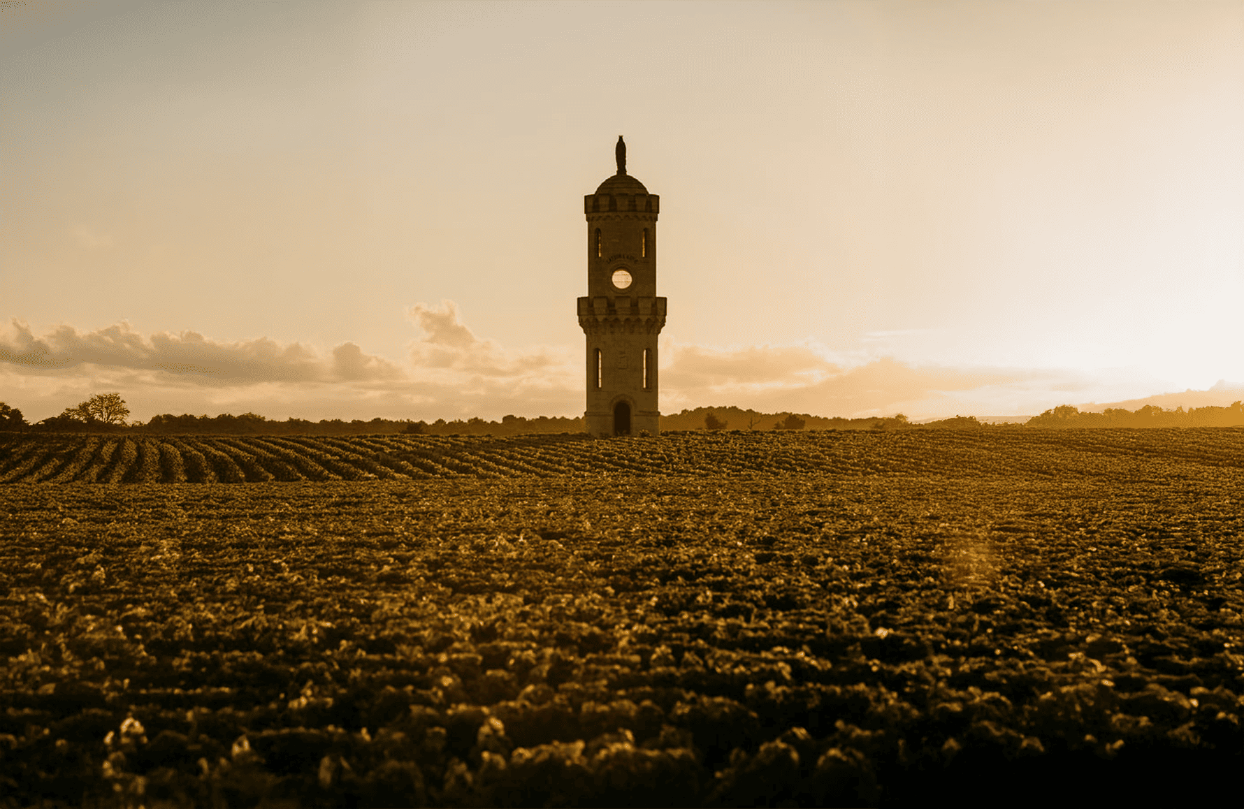 Vini Château Alta Battaglia