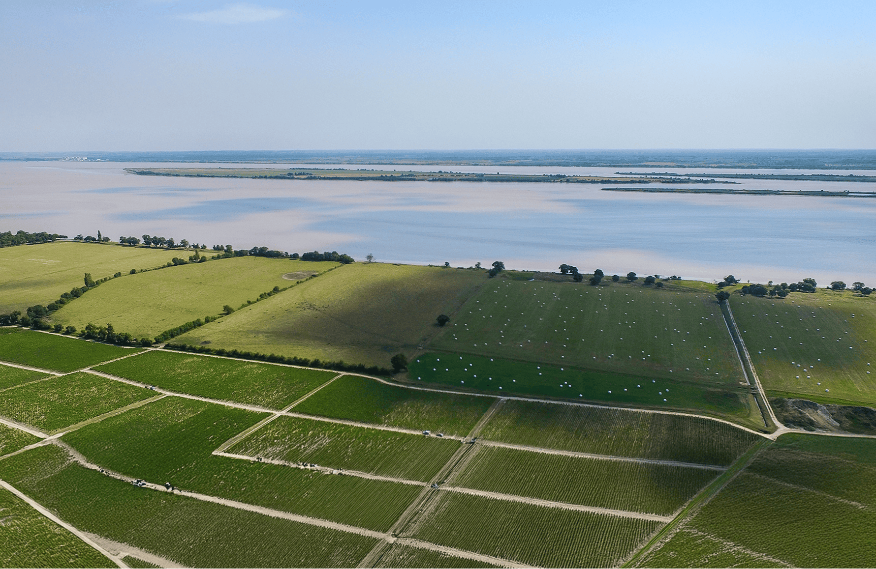 la storia di Château Léoville Las Cases