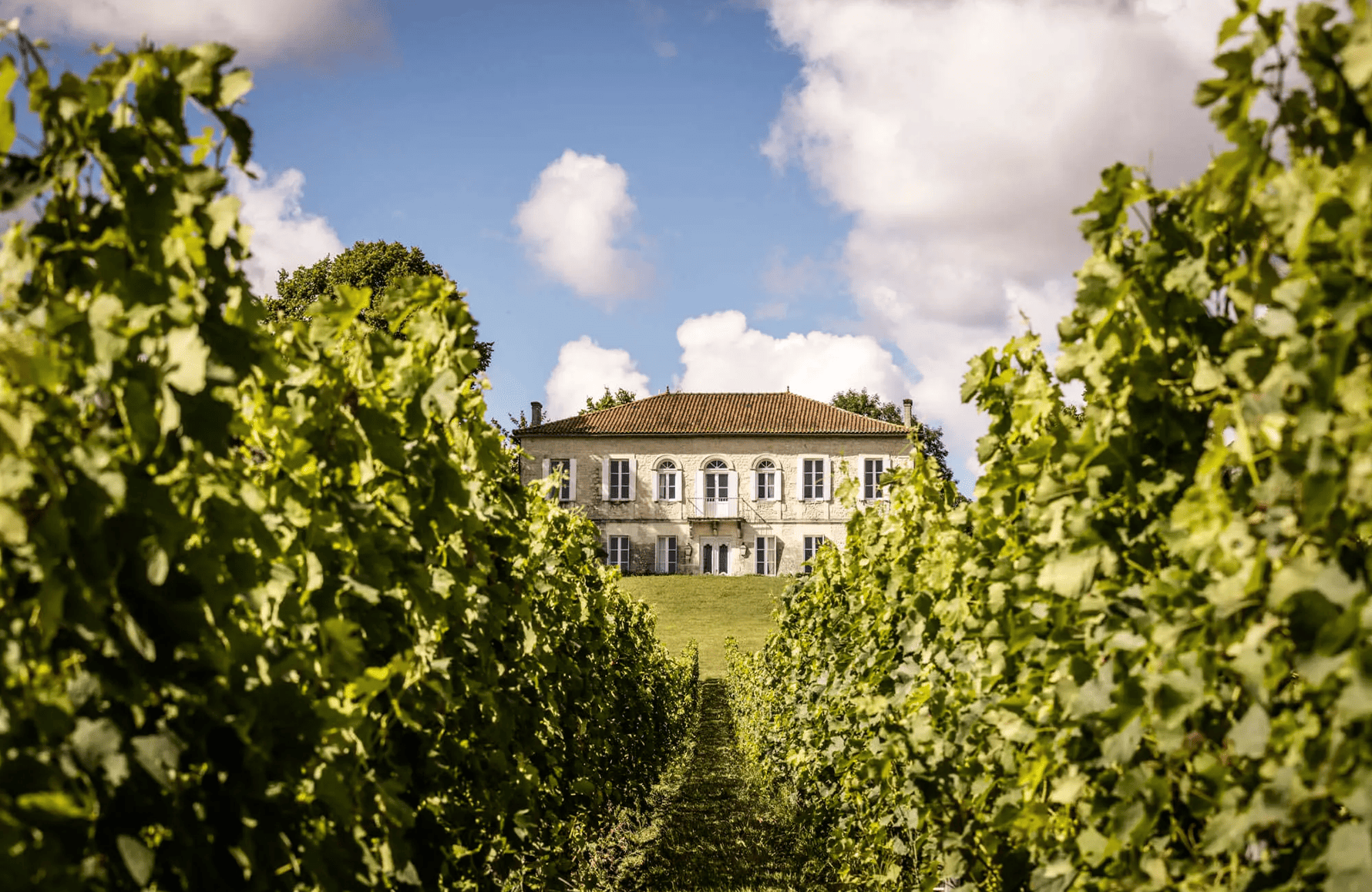 Wines Reysson Castle