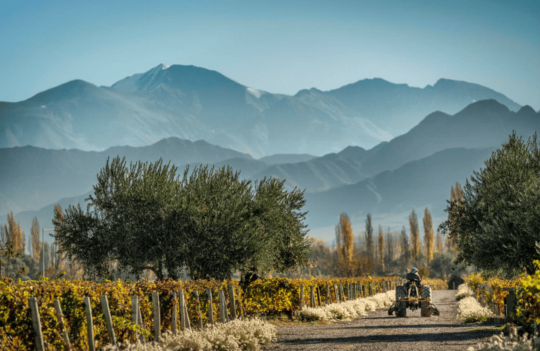 la storia di Cheval des Andes - Argentina