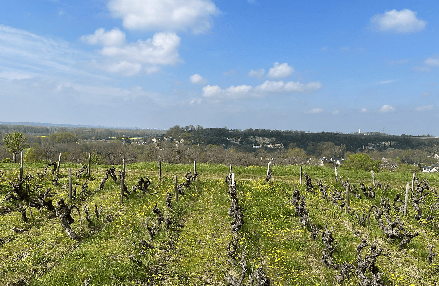 l’histoire du Clos Thierrière